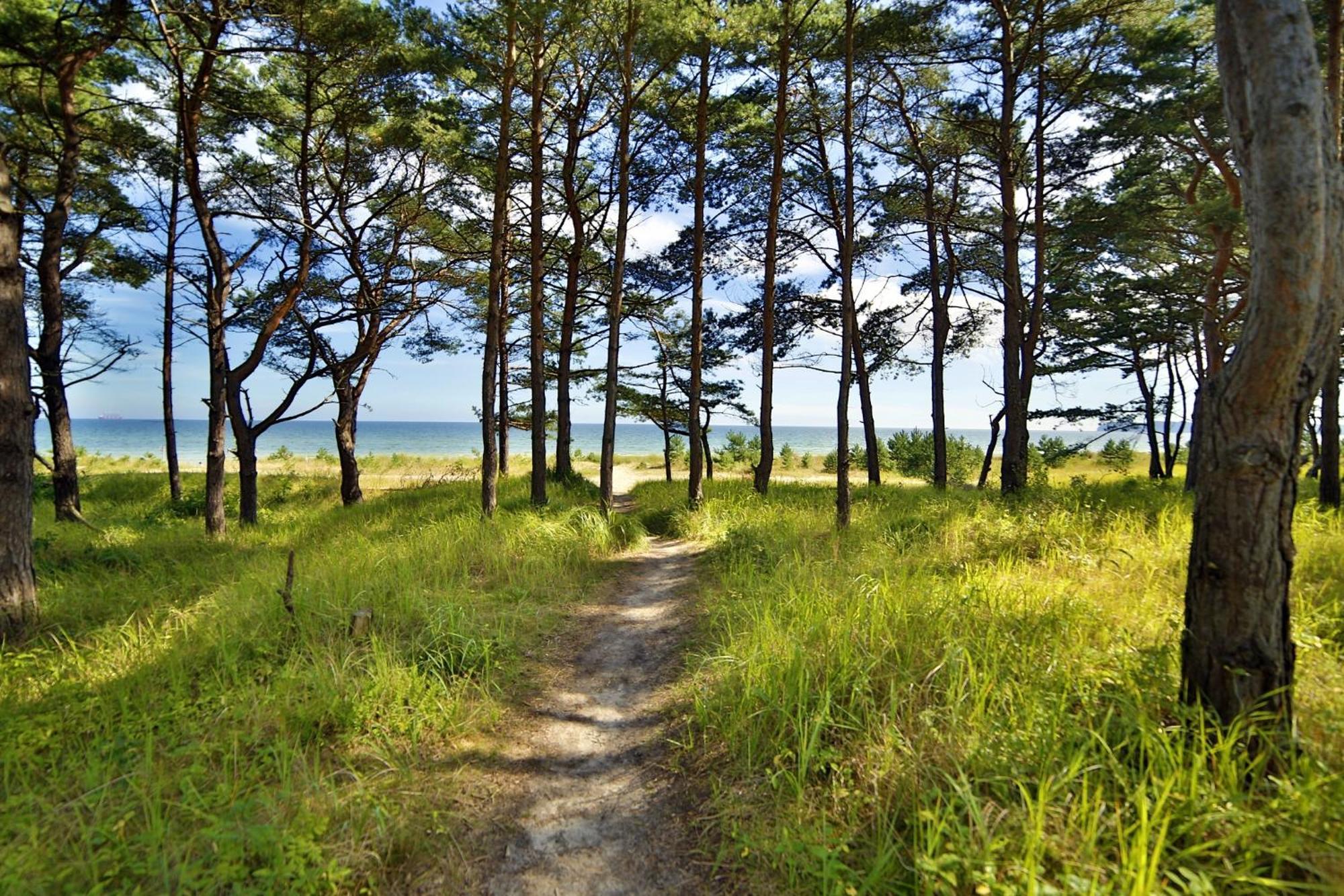 Ferienwohnung Sonnenschein Haus Hiddensee Prora Binz Exterior foto